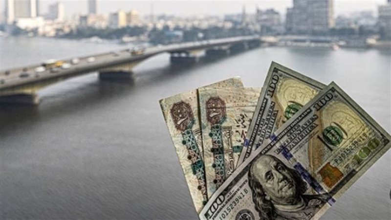 تقارير المؤسسات الدولية