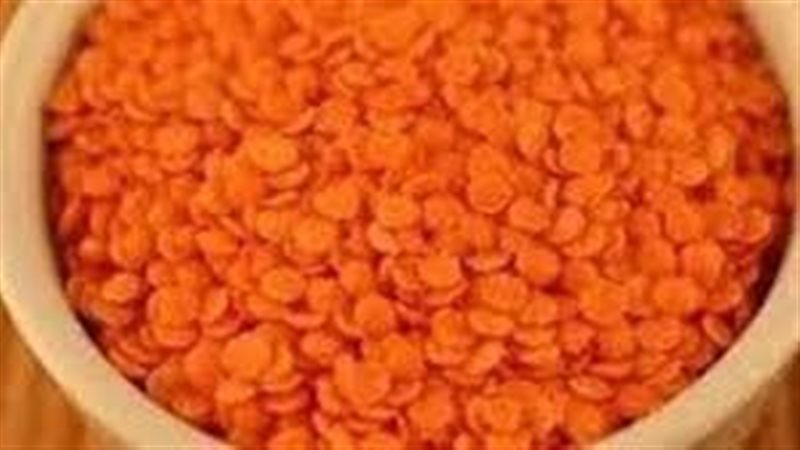 أسعار العدس اليوم،