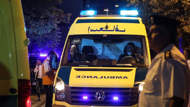حوادث المنيا، فيتو