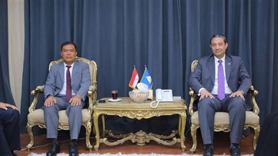 محافظ دمياط: فعالية 