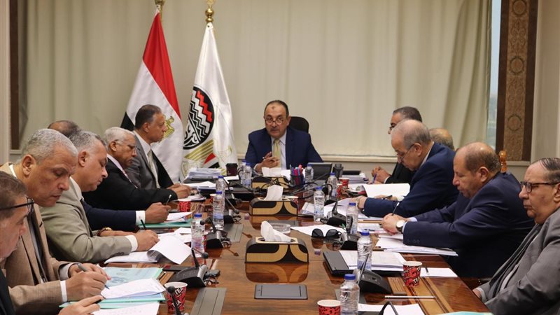 المهندس محمد شيمي