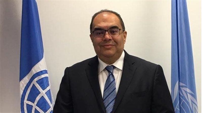 الدكتور محمود محيي