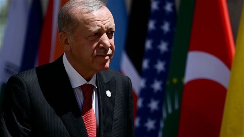 أردوغان، فيتو 