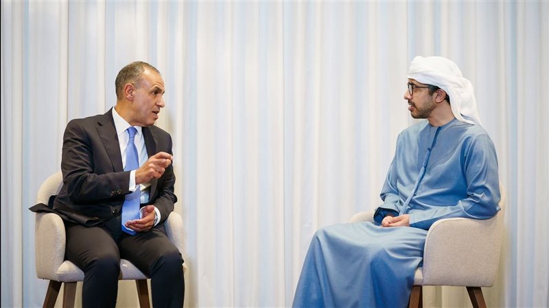 وزير الخارجية ونظيره