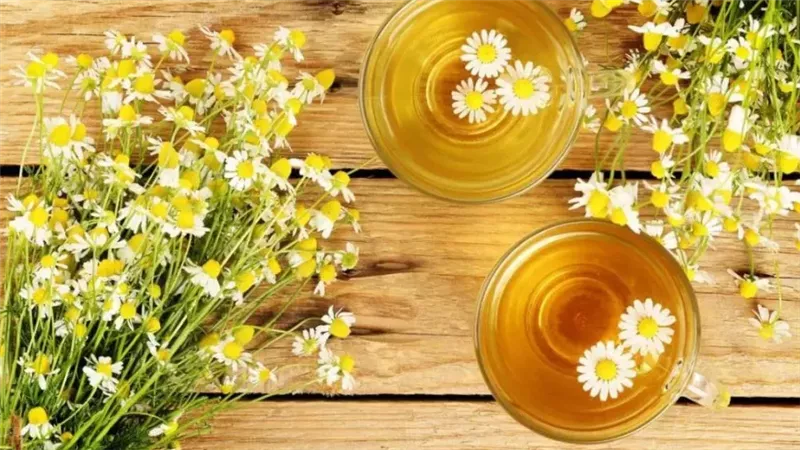فوائد البابونج 