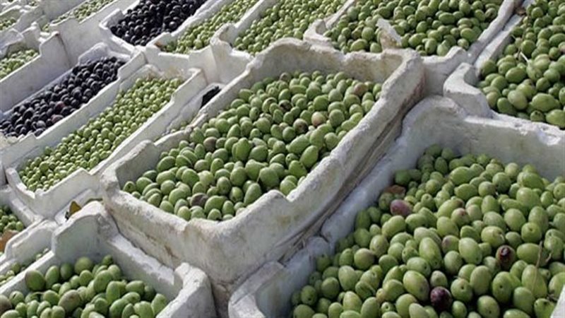 أسباب ارتفاع أسعار