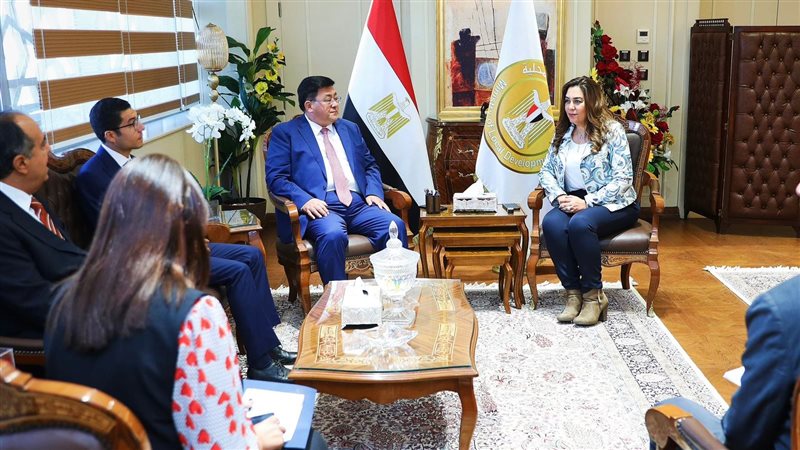 وزير التنمية المحلية،