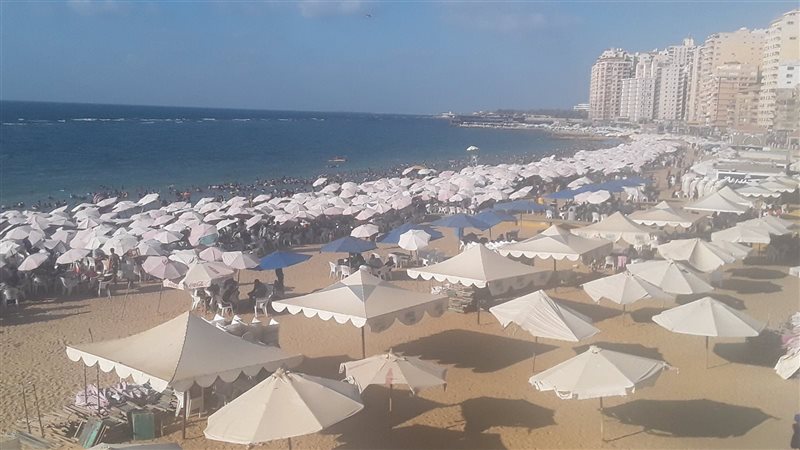 شواطئ الإسكندرية