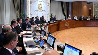 قرار عاجل للحكومة بشأن تقنين إقامة الأجانب المقيمين بالبلاد بصورة غير شرعية