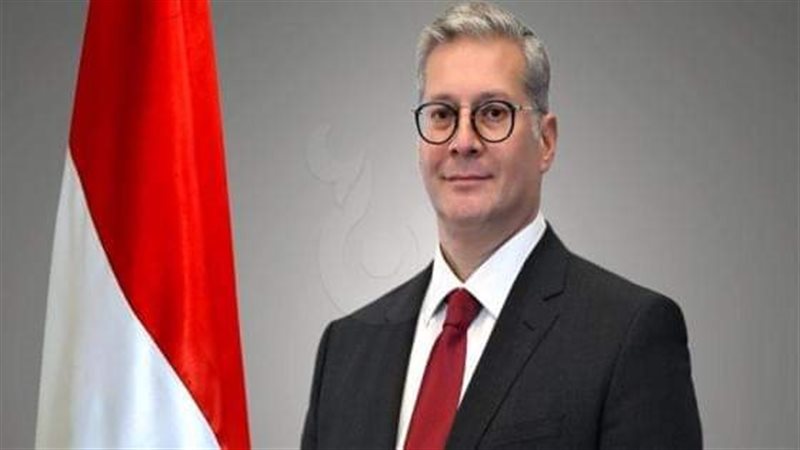 المهندس كريم بدوي