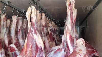 شيخ الجزارين يحذر من انتشار نوع لحوم بالأسواق