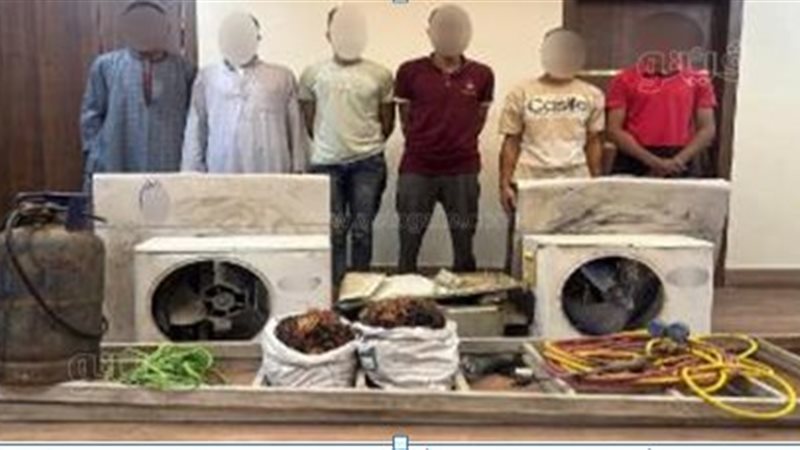 تشكيلات عصابية، فيتو