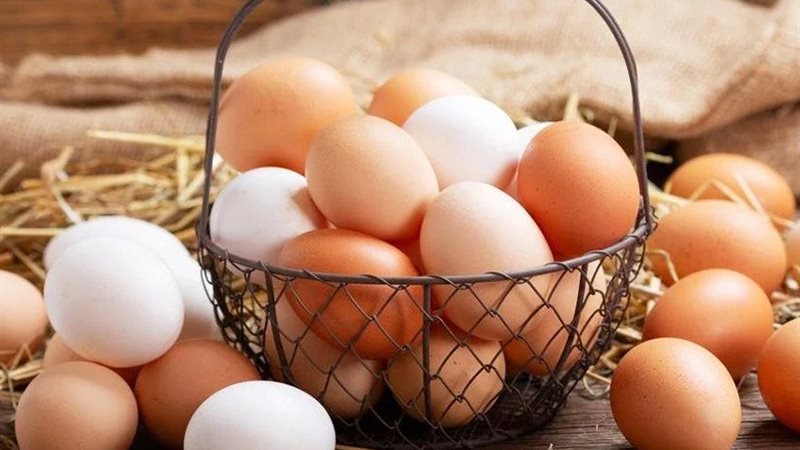 أسعار البيض اليوم،