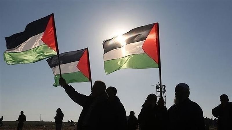 فلسطين، فيتو