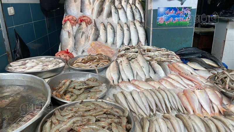 أسعار الأسماك والجمبري