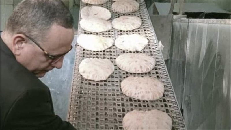 حملات تموينية بالدقهلية،