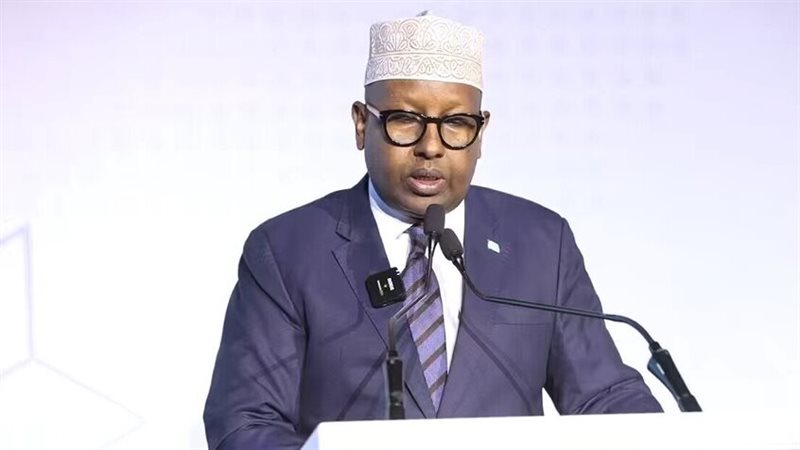 وزير الخارجية الصومالي،