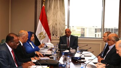 وزير الكهرباء يبحث خطة تشغيل المحطة الشمسية الحرارية بالكريمات
