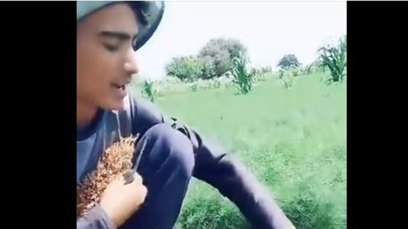 مزارع يكشف سر ارتفاع
