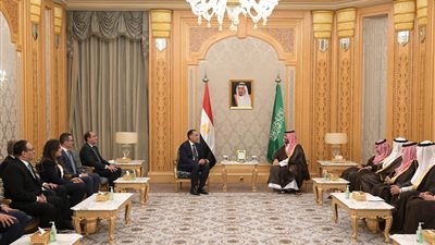 بن سلمان ومدبولي يبحثان الربط الكهربائي بين مصر والسعودية قبل حلول الصيف المقبل