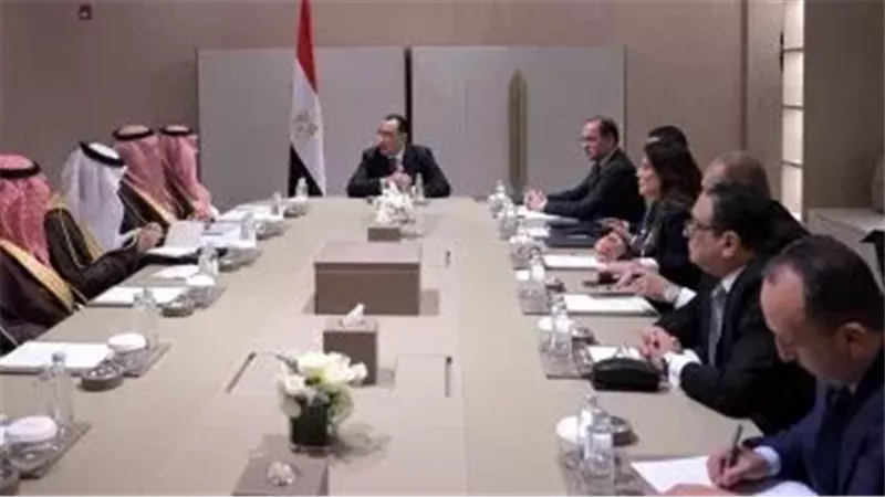 جانب من اللقاء،فيتو