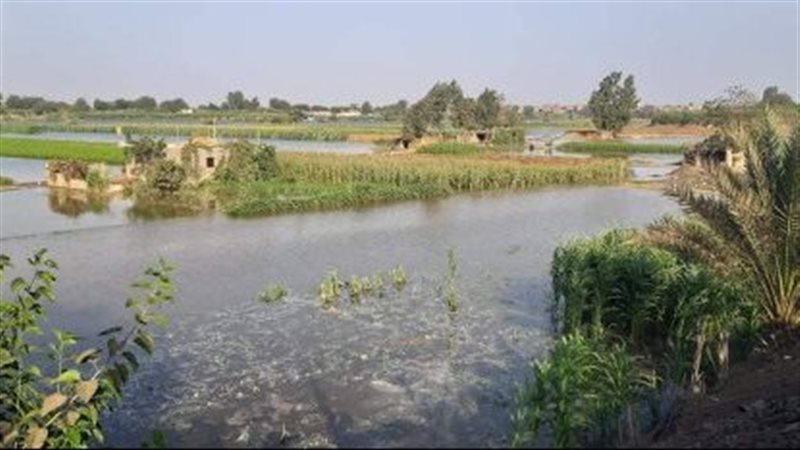 بحيرة زراعية، ڤيتو