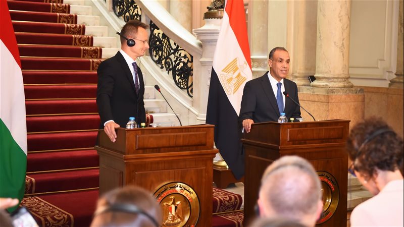 بدر عبد العاطى وزير