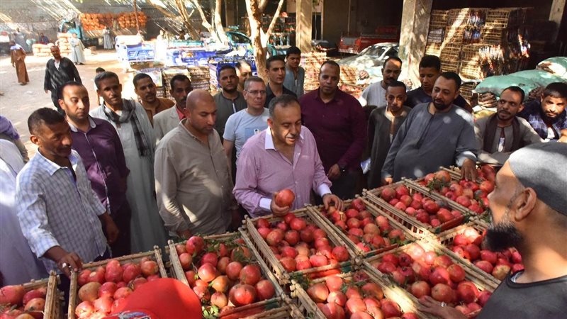 محافظ أسيوط يتفقد