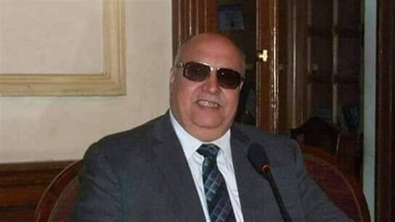 محمود سيف النصر،