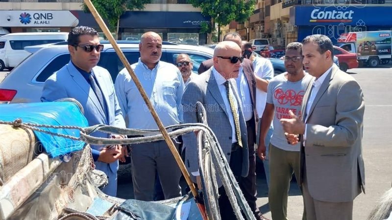 حملة مكبرة لضبط عربات