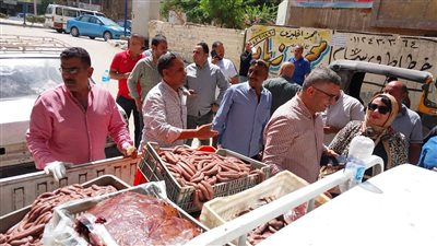 ضبط 6.3 طن لحوم ودواجن غير صالحة للاستهلاك الآدمي بالجيزة (صور)