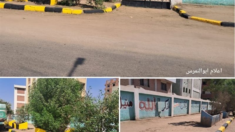 حملات النظافة، فيتو