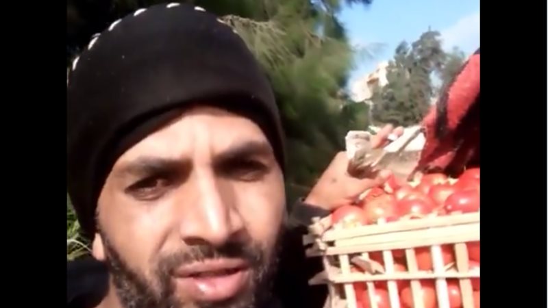 مزارع يبيع الطماطم