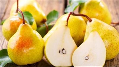 txt