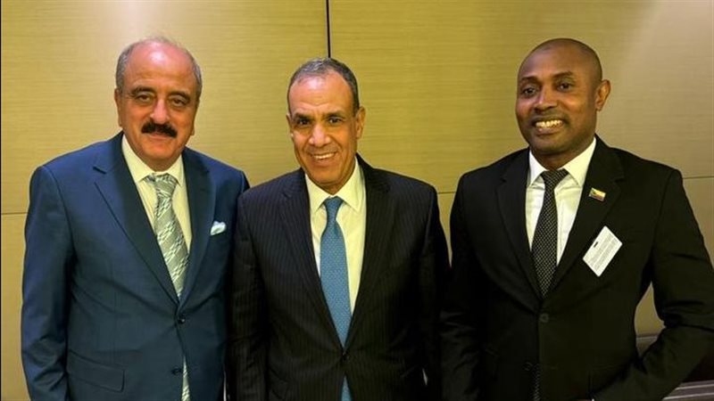 لقاءات وزير الخارجية،