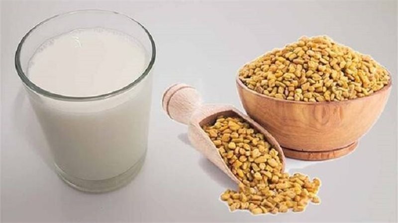 الحلبة باللبن، فيتو