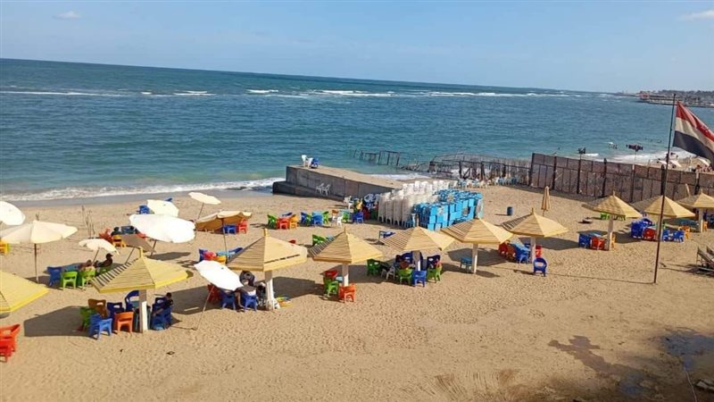 الاسكندريه 