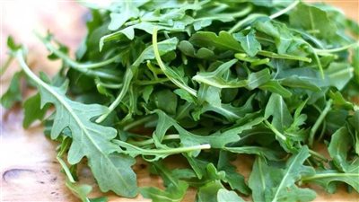 txt