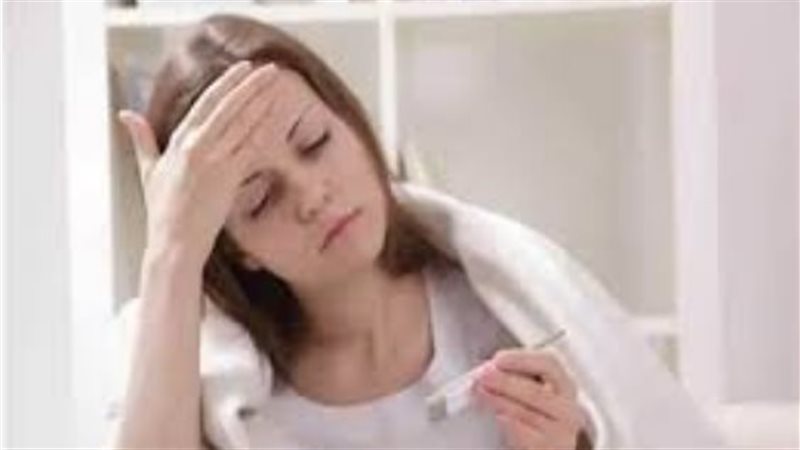 ظهور الإيكولاي في