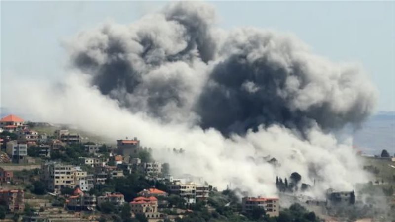 جنوب لبنان، فيتو