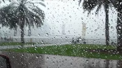 تفسير حلم نزول المطر في المنام في المنام وعلاقته بالتطهير من الذنوب والخطايا