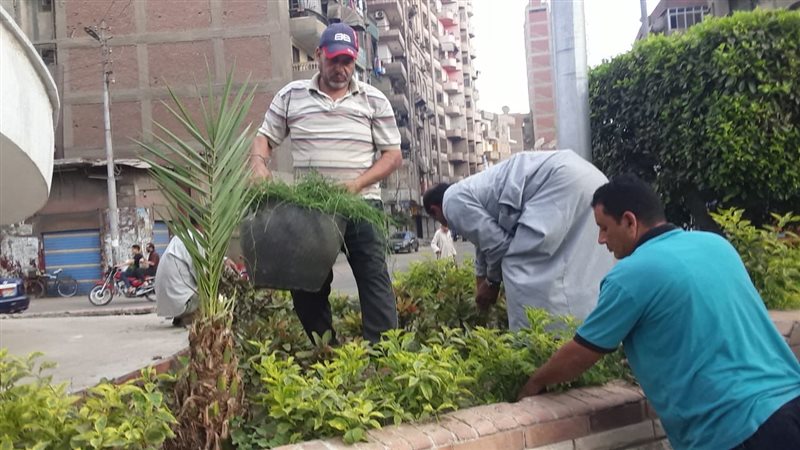 مواصلة أعمال زارعة