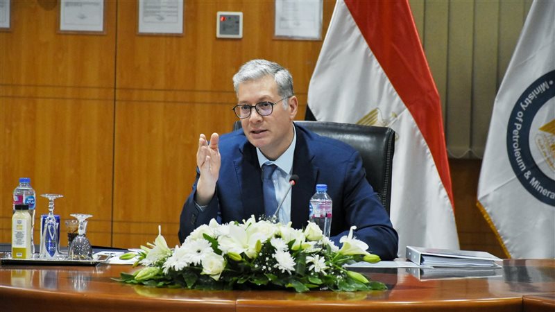 المهندس كريم بدوي،فيتو