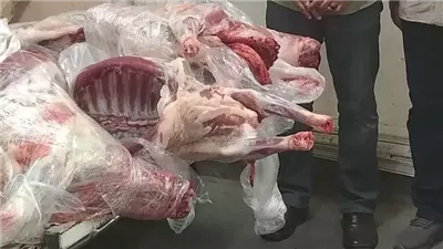 ضبط 4 ذبائح ضأن مذبوحة خارج المجازر وغير صالحة للاستهلاك بالمنوفية