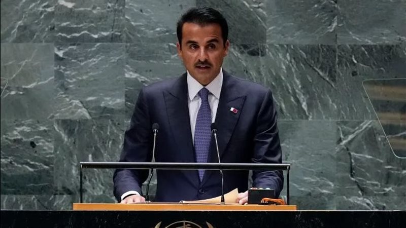 الأمير تميم، فيتو