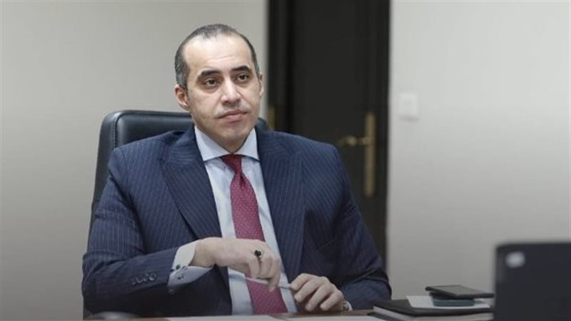 وزير الشئون النيابية،