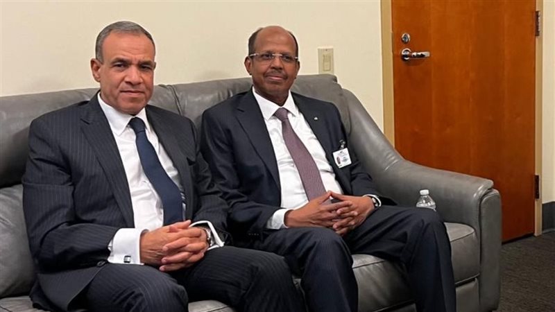 وزيرى خارجية مصر