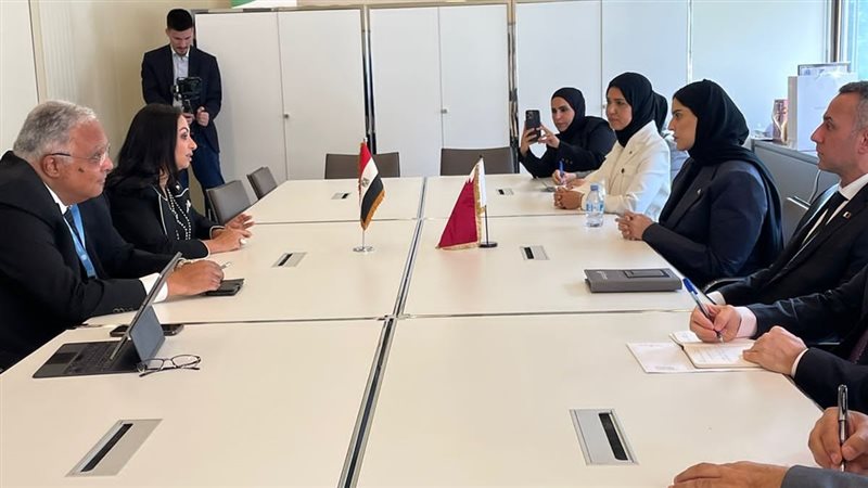 وزارة التضامن الاجتماعي،فيتو