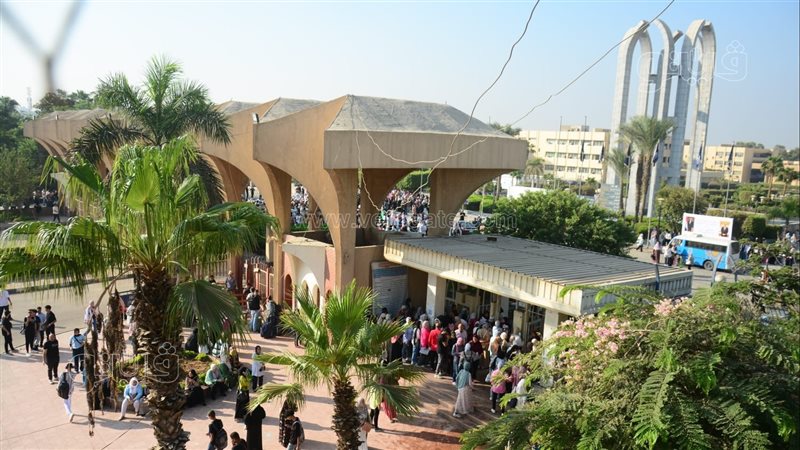 جامعة حلوان 