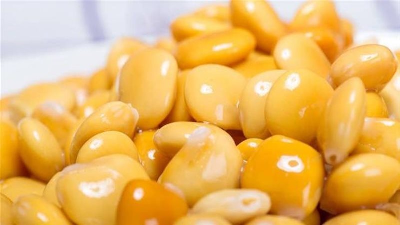 الترمس